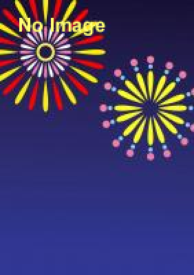 第10回 全日本線香花火選手権大会