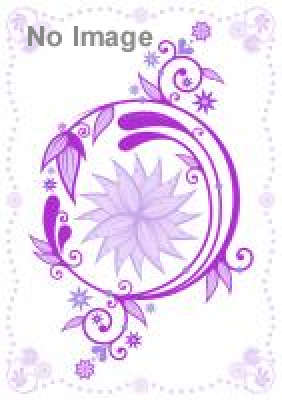 培広庵コレクション　雪月花