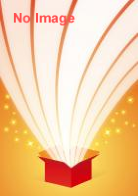 天久聖一「家庭遺産展」