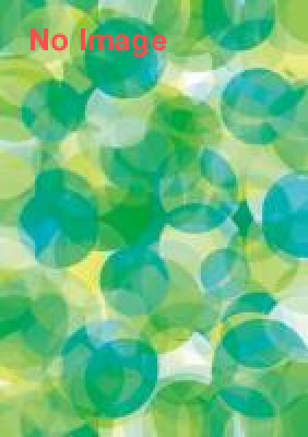 体験型空き店舗博覧会　 『鳩の街100YENチャレンジショップ』