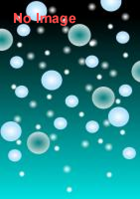 リサとガスパール タウンのクリスマス