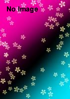 伊豆の国時代まつりプレイベント　1日お代官様 