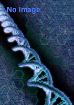 毒蟲presents　新宿毒蛇博 vol.10