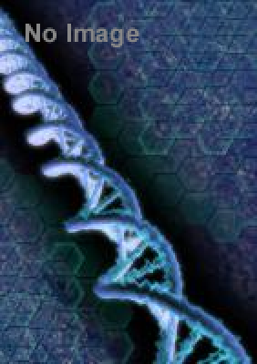 環状第2号線（新橋・虎ノ門間）開通記念ウォーキングイベント