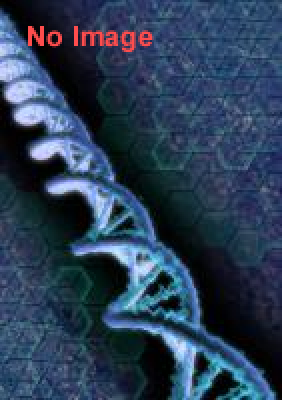 地下鉄博物館特別展 地下鉄における地下空間の秘密展