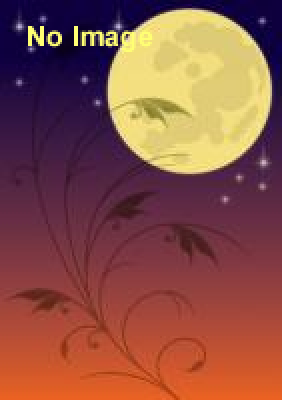 第1回ムーンウオーク世界大会　in Sagamihara