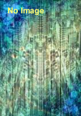 心折シリーズ第1弾「心折遊戯」