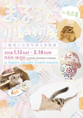 まるっと小動物展 in 名古屋