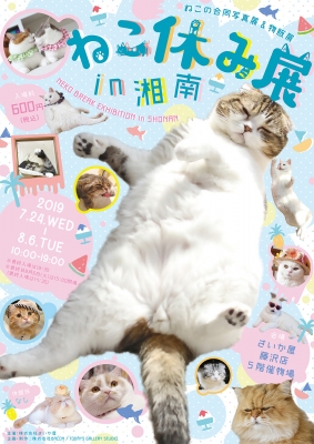 ねこ休み展 in 湘南