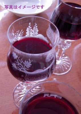 第23 回 ブダ城国際ワインフェスティバル(BUDAVÁRI BORFESZTIVÁL )