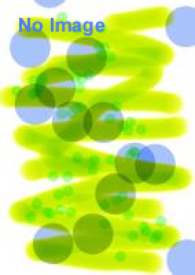 親子でキャンプinひろさか