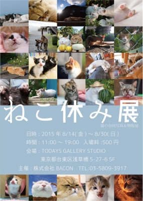 猫の合同写真＆物販展　「ねこ休み展」