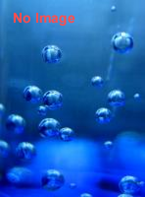 第1回 日本魚祭り