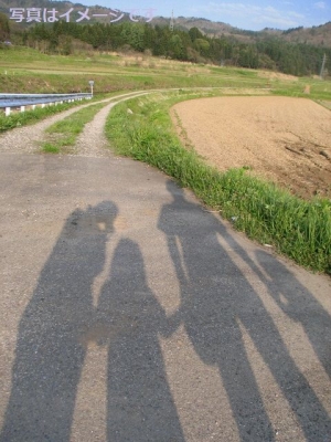 巨人祭り(Fetes de Gayant)：フランス