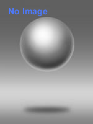 TORAFU ARCHITECTS 「ここをホッチキスでとめてください。」