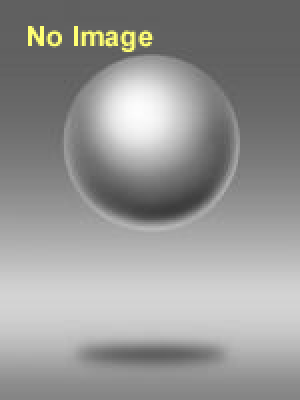 プレイベント「ウィリアム・ケントリッジ『時間の抵抗』」（作品展示） 