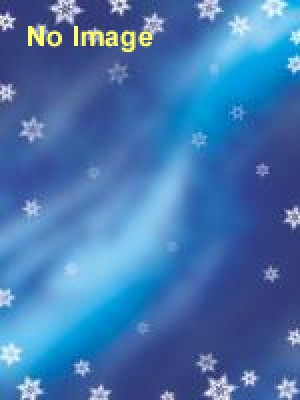 美術館からのクリスマス・プレゼント＆お年玉企画展　-動物ものがたり-