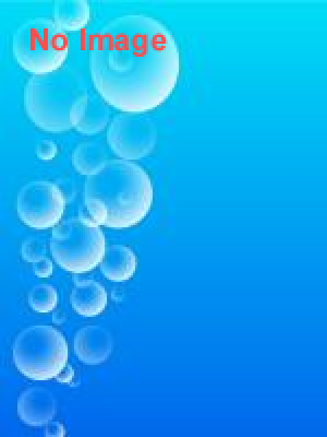 京都水族館で過ごすクリスマス