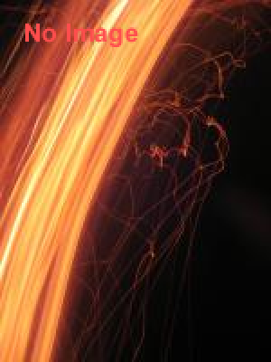 第1回今津大たいまつ