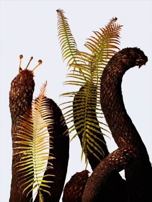 「ウルトラ植物博覧会」西畠清順と愉快な植物たち