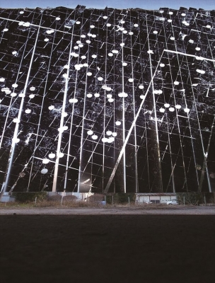 市川裕司 「世界樹」