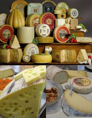 お台場 初夏の利きチーズ夜会～超美味厳選利きチーズ数種とパン付！チーズ好き大集合！