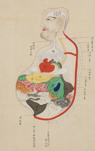 《五臓六腑図》 国立科学博物館所蔵