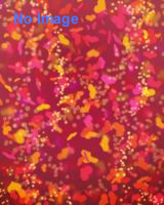 よーいドンで恋したい♪運動会コン☆