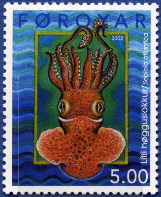 「海の珍生物　へんないきもの」展