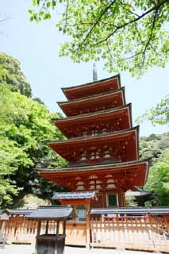 イベントフォト