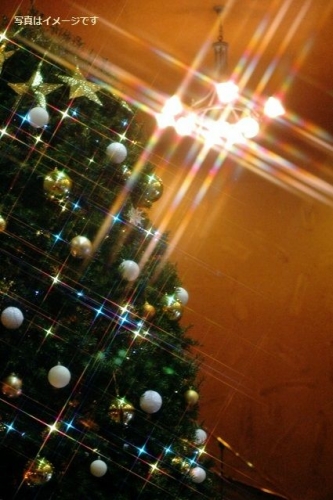 クリスマスツリーの焼却(Xmas Tree Buring):オランダ