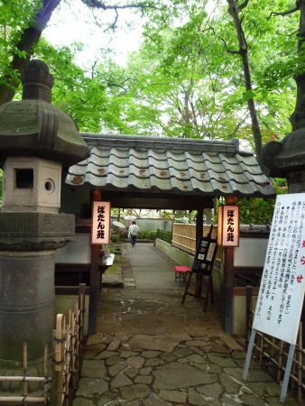 イベントの写真