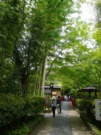 イベントの写真