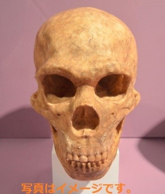 死者の日　Day of the Dead (Dia de los Muertos)：メキシコ