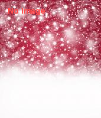 鴨川シーワールド クリスマスディナー＆シャチナイトパフォーマンス