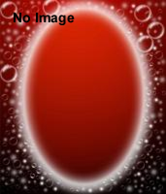 ねらわれた伝説の男〜たちあがれ街の勇者たち〜