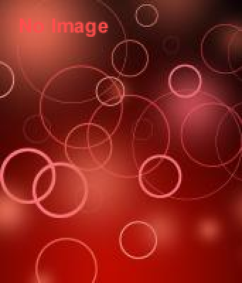 武士の日制定記念大阪開催！「チャンバラ合戦-戦IKUSA-」