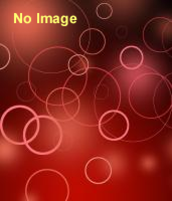 唐揚げ　記念謝肉祭