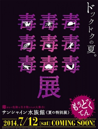 イベントの写真