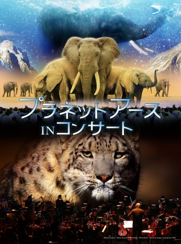 イベントフォト