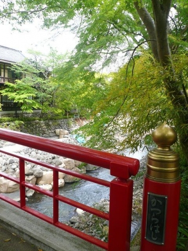 修善寺かつらばし(静岡)
