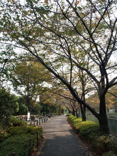 旧神田上水(東京)