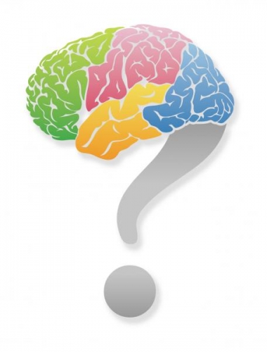 brainjack 〜怪盗Zからの謎解き挑戦状〜