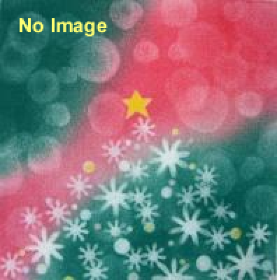 earth garden“Xmas“ 第9回代々木クラフトフェア