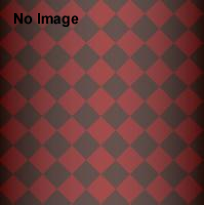 仮面ライダー謎解きヒーローショー　阻止せよ！！ショッカー秘密作戦 