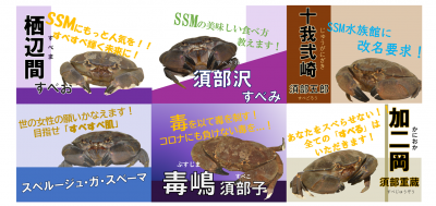 スベスベマンジュウガニ総選挙2022