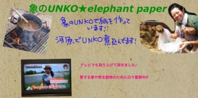 象のうんこのアート展