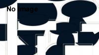 第30回全日本忍者選手権大会