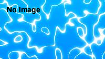 箱根園水族館と謎の沈没船～ハナゴンドウのひみつの言葉～