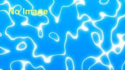 OCEAN PEOPLES ’15 代々木公園　SAVE BEACH